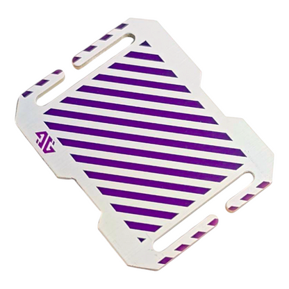 Panel Tag - Consent