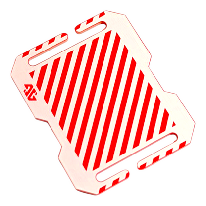 Panel Tag - Consent
