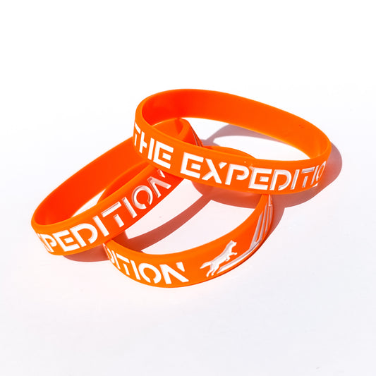 The Expedition - Promo Wristband Bracelet